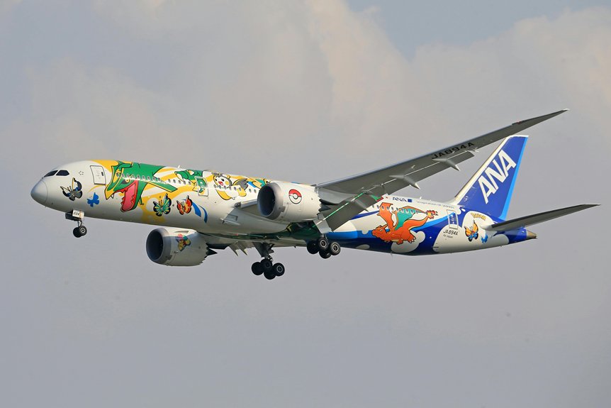 aircraft in flight brand customization